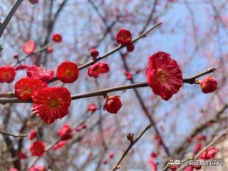 安徽芜湖天气预报，春日暖阳与阵雨交替，出行请注意天气变化
