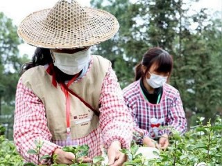 江西未来7天天气，晴雨交替，气温波动明显，出行需留意