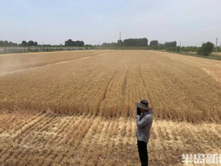 精准到村头，天气预报如何定位到每一垄麦田？
