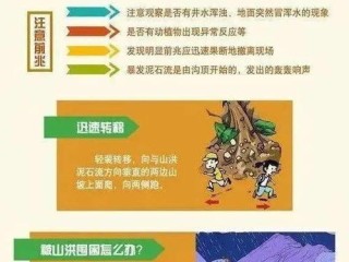 温州暴雨天气如何应对，实用指南与安全须知