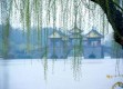 江南烟雨里的生活哲学，无锡天气教我的事