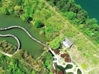 天下彩天空彩彩票资料大全中心版V35.35.122.269苹果版本-推荐