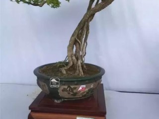 彩云天气，一朵云的馈赠，让天空不再是秘密