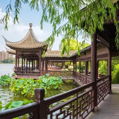 去南京玩下雨怎么办（下雨天逛南京）