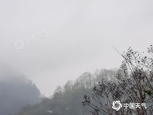 江苏泰州天气预报,本周晴雨交替,气温稳步回升 江苏泰州天气预报,本周晴雨交替,气温稳步回升