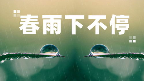春雨天气预报，一场云端之上的温柔计划