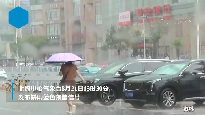 上海明后天暴雨到大暴雨,市民需警惕强降水与出行风险 上海明后天暴雨到大暴雨,市民需警惕强降水与出行风险