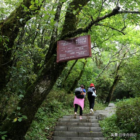 昨天足球比赛比分结果-梵净山天气预报15天,登山前必看的天气指南与旅行建议 昨天足球比赛比分结果-梵净山天气预报15天,登山前必看的天气指南与旅行建议