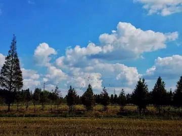 云鼎娱乐-崇明天气，一页翻过四季的乡土诗