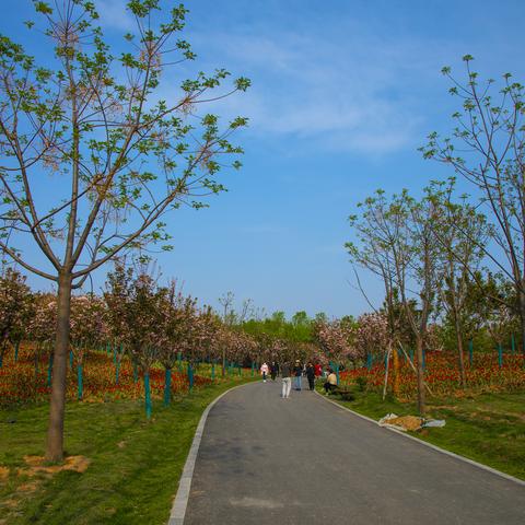 西安旅游攻略,穿越千年古都,一日看尽长安花 西安旅游攻略,穿越千年古都,一日看尽长安花