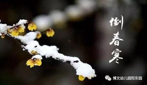 单县未来十五日天气趋势，从春寒料峭到暖意渐浓