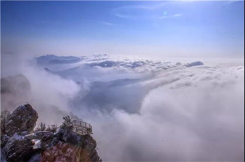 老君山天气预报,云海与晴空交织的仙境之旅 老君山天气预报,云海与晴空交织的仙境之旅