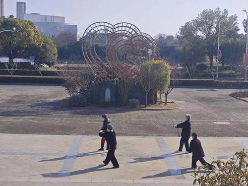 上海15天天气预报，申城晴雨交替，气温起伏如过山车