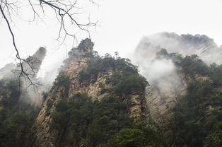 湖南张家界天气15天查询，为你的仙境之旅做好万全准备