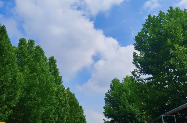 博兴天气,小城天空的四季叙事 博兴天气,小城天空的四季叙事