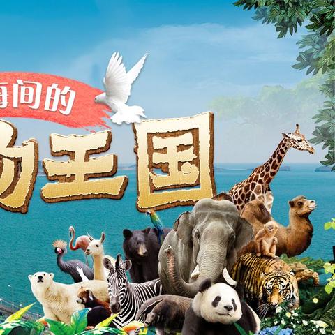 大连旅游必去景点，山海之间的浪漫之城，这些地方不容错过