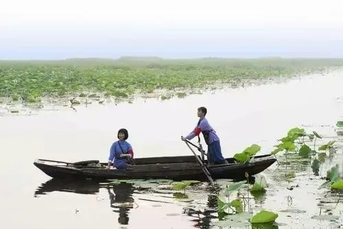 洪湖天气，四季流转里的水乡记忆