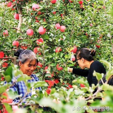 静宁天气预报，一场与黄土高原的对话