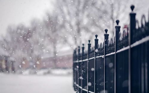 云南冬天温度一般多少？一篇帮你解开春城冬季谜团的指南
